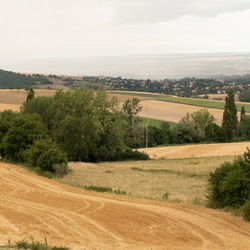 Auvergne - Livradois-Forez  